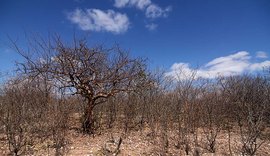 AMA cobra posição do Ministério da Integração sobre retorno de Operação Pipa