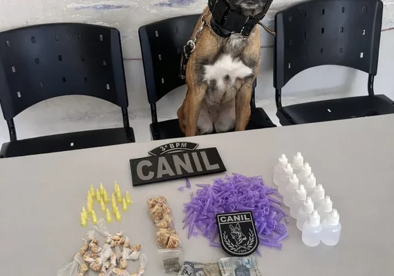 Padrasto é preso após usar enteado de 8 anos como 'aviãozinho'