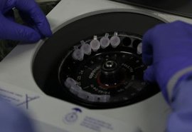 Coronavírus: Número de suspeitos infectados cai para três