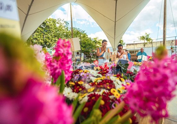 Arapiraca se torna a capital das flores neste mês das mães