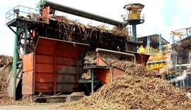 Usinas contabilizam mais de 9,5 milhões de toneladas de cana processadas em Alagoas