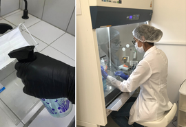 Pesquisadores da Unicamp criam spray que inativa coronavírus