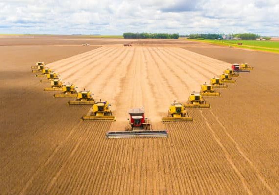 Colheita de soja 2020/21 no Brasil atinge 0,7% da área