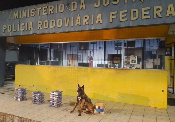 Polícia Rodoviária apreende mais de 50 kg de drogas na BR-101 com a ajuda de cão farejador