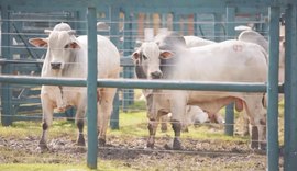 Agro Feira IBC supera as expectativas com participação de público e de negócios