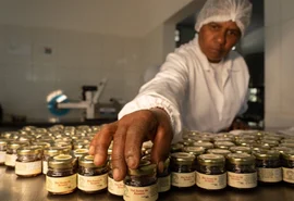 Cooperativas reforçam destaque brasileiro no mercado internacional