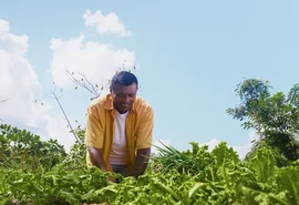Aumento de recursos para agricultura familiar é de quase 50% com Lula