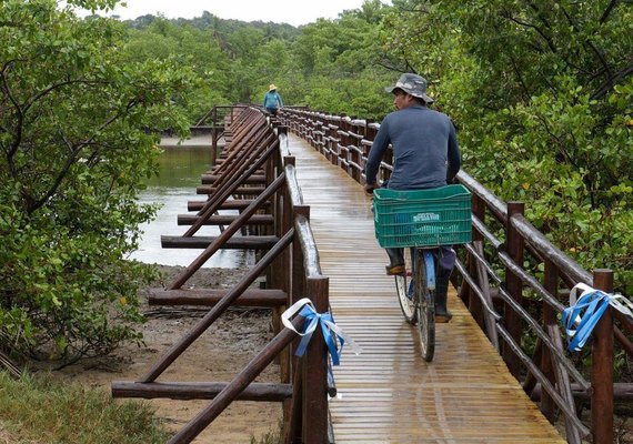 Governo de Alagoas entrega obra da ponte sobre o rio Tatuamunha em Porto de Pedras