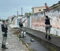 Suspeito invade casa de aluguel, tenta pular muros e é preso em Arapiraca