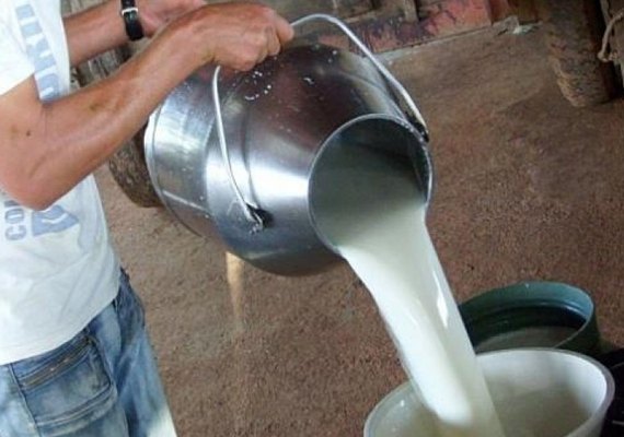 Atrasos no Programa do Leite afetam agricultores