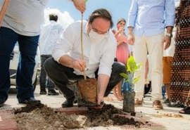 Prefeito homenageia vítimas da Covid-19 com plantio de centenas de mudas de ipês-amarelos