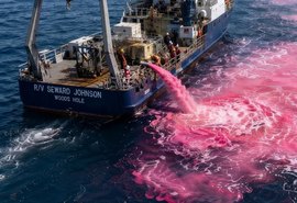 Pesquisadores testam soda cáustica no mar para reduzir acidez dos oceanos