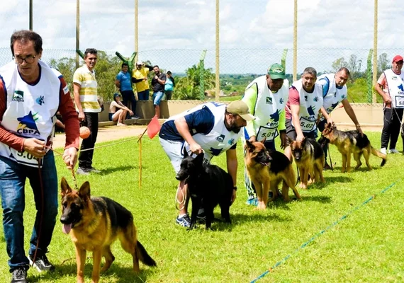 Arapiraca será palco nordestino da 10ª Exposição de Criação de Pastores Alemães