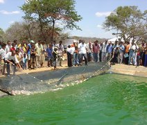 Uso de água salobra pode ampliar produção no Semiárido