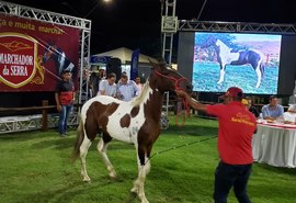 Expoagro/AL contará com Shopping Raça Mangalarga