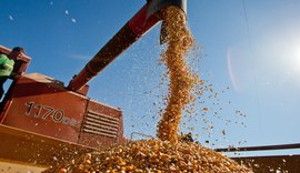 Brasil pode bater recorde de safra com 354,8 milhões de toneladas de grãos