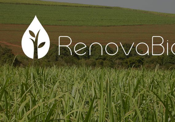 Entidades do Agro pedem inclusão de produtores rurais na Renovabio