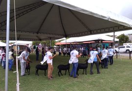 Nacional do Santa Inês movimenta o Parque da Pecuária