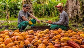 Coopcacau promove III Encontro Estadual dos Produtores de Cacau em Matriz de Camaragibe