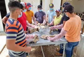 Batalha recebe curso gratuito de Inseminação Artificial em Bovinos; Inscrições abertas