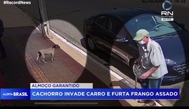 VÍDEO: Cachorro é flagrado entrando em carro e 'roubando' frango assado