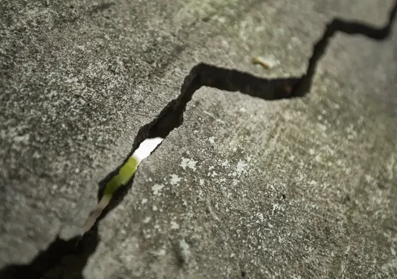 Braskem: relator de CPI quer busca e apreensão caso MME não ceda dados