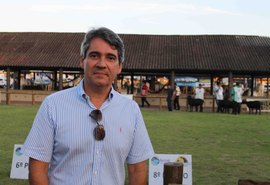 ACA aposta em 2020 de crescimento da pecuária