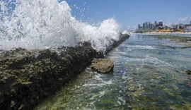 Corais podem evitar R$ 160 bilhões em danos ao litoral do Nordeste