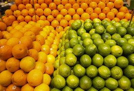 Conab diz que frutas registram queda de preços