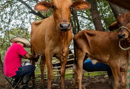 Agroamigo leva tecnologia e eficiência à agricultura familiar em Alagoas