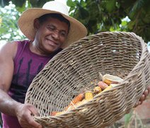 Alagoas é o estado com menor número de conflitos agrários com quilombolas