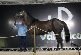 3º Leilão Vale Rico fatura R$ 6,3 mi e bate o recorde do ano