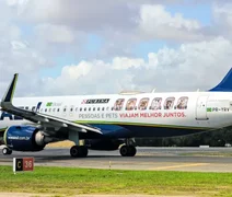 Recife recebe primeiro voo com serviço a bordo exclusivo para pets; confira