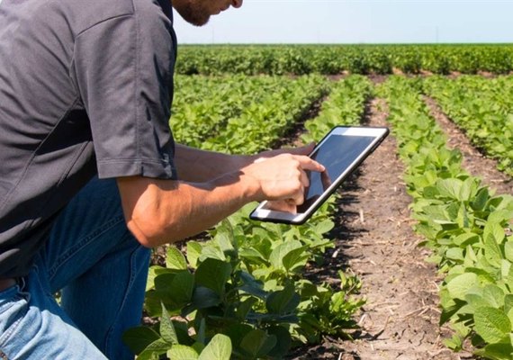91% dos agricultores brasileiros adotam inovação para enfrentar crises climáticas