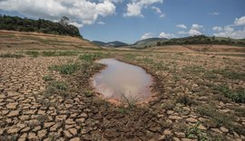 Estudo da Ufal revela que Brasil perdeu 55% de áreas do Agreste para o Semiárido