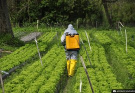 Sindiveg lança plataforma gratuita e on-line sobre o uso dos defensivos agrícolas no campo