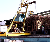 Safra 22/23 processou até outubro mais de 4,6 milhões de toneladas de cana