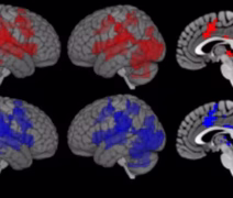Cérebro reage com defesa imunológica só de ver pessoas doentes se aproximando, diz pesquisa