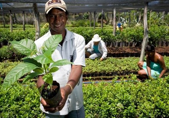 Conab abre inscrições para formar estoques da agricultura familiar
