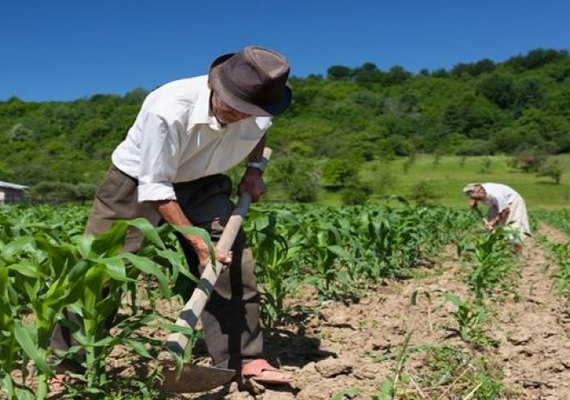 Produtores pedem nova legislação para renegociação de dívidas rurais