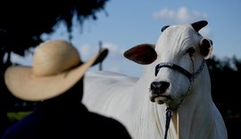 Medidas da União Europeia contra carne brasileira reacendem impasse em acordo