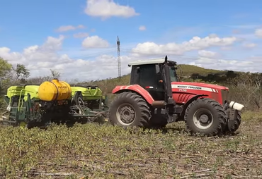 Fertilizante líquido revoluciona lavoura de milho no Agreste alagoano