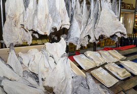 Consumidor deve ficar atento à qualidade do bacalhau na Semana Santa