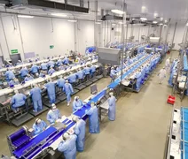 Fortalecer a cultura é o novo desafio do cooperativismo brasileiro