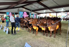 74ª Expoagro Alagoas terá programação para este domingo
