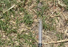 Projeto de lei cita Maceió para defender regras nacionais sobre descarte de agulhas