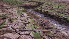 El Niño coloca Alagoas em alerta e governo cria comitê especial