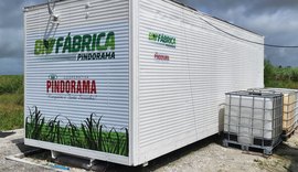 Biofábrica de Pindorama desenvolve canaviais e gera economia aos cooperados com produção local de defensivos biológicos