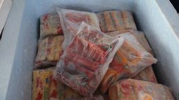 Cooperativa de AL se destaca com produção de polpa de frutas em União dos Palmares