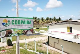Coopaiba mantém ritmo industrial e estoque de 50 toneladas em Piaçabuçu